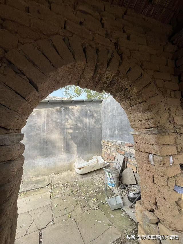 泰安肥城西陆房村里的大白菜