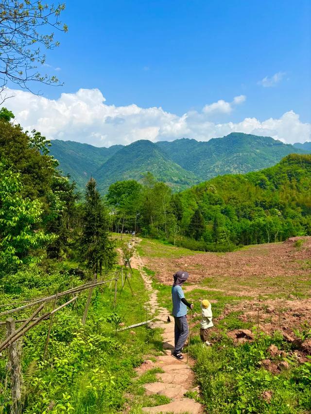 森林徒步天花板，后悔没早来！成都小众路线1.5h可达～