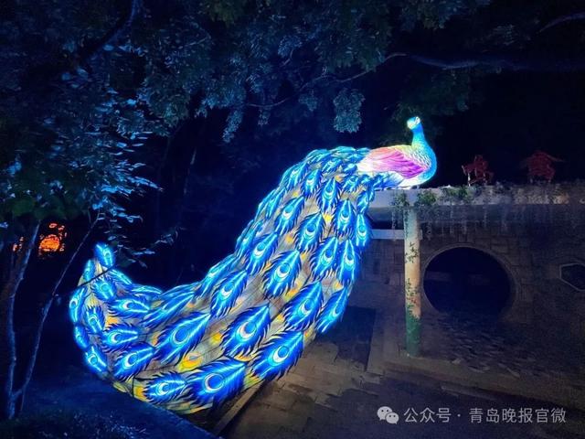 准大学生们还没到青岛，惊喜已备好！这份免费礼物等你开启→