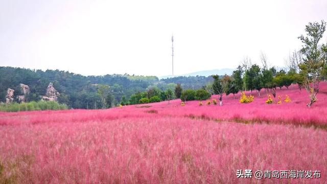 小众玩法上线，“反向游”西海岸！