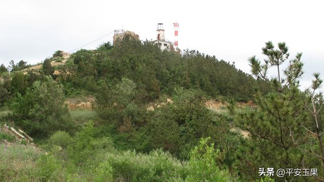 莱州三山岛印象记