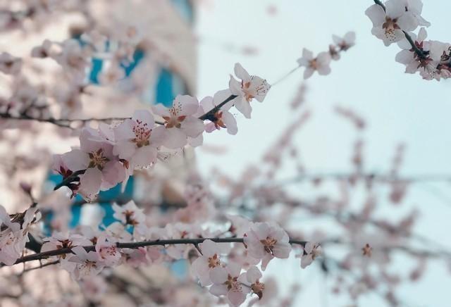 今冬最冷时间表最新公布，最冷在啥时候？2026年春节到底冷不冷？