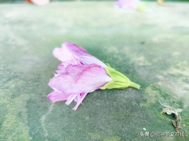 10首读书古诗词，10种悠然心境，唯有热爱，可抵漫长岁月！