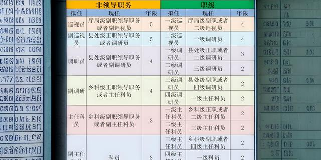 1994年副科2019年第二次职级并行套二级主任科员，可晋升一主吗？