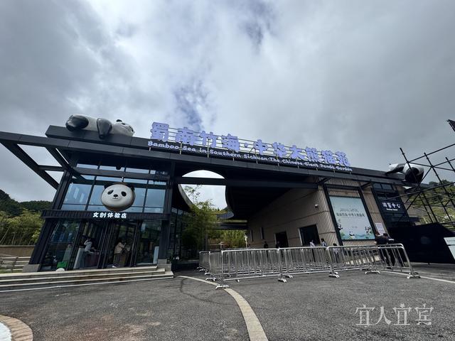 长江首城 潮流宜宾丨宜宾再添新名片！国庆假期在家门口看大熊猫