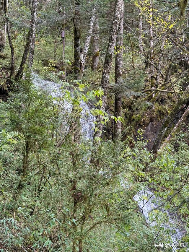 北京自驾长江三峡、神农架之旅（6）