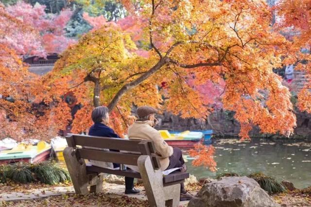 苏州秋天打卡线路推荐→