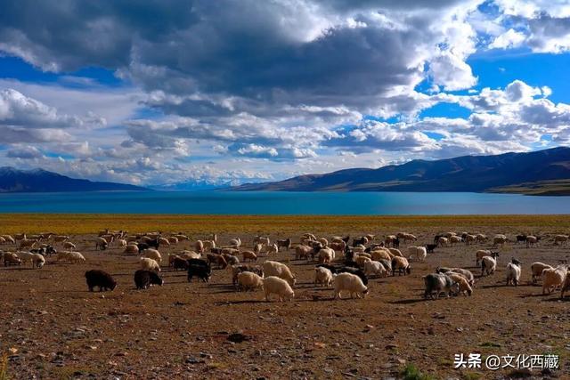 人间最美的终极自驾天路，你真的知道是哪条吗？