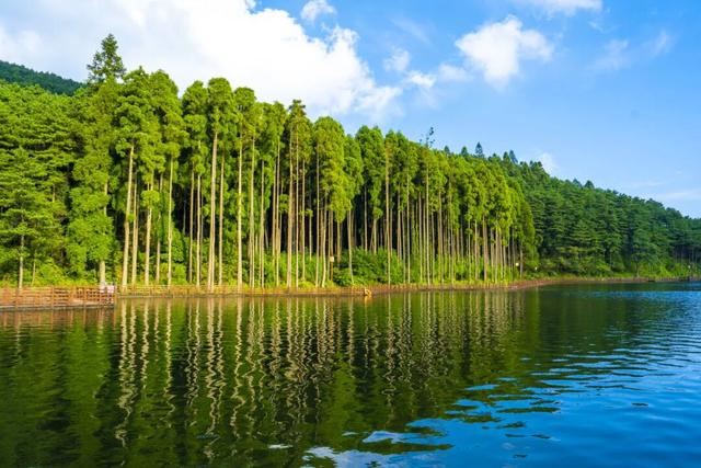 免票！持续到3月15日