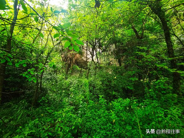 一个洞内烟云氤氲的躲匪洞，一个白练如幕的暗河瀑布
