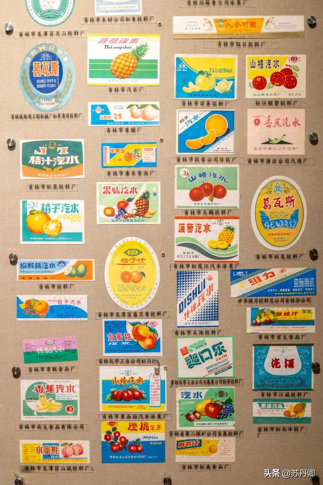 吃完饺子去逛展！这个博物馆，大概只有东北人才知道其中的含金量