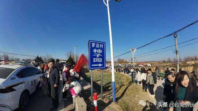 从西安出发2小时，打卡彬州罗店村柿子林，吃当地美食看台塬风景