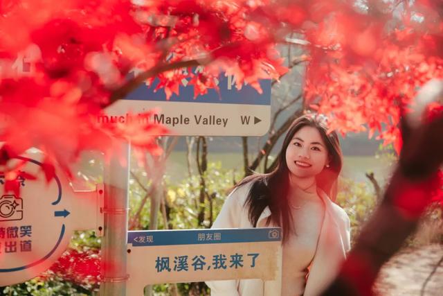 可惜你不听《枫》，不知道醴陵这片枫林到底有多美！