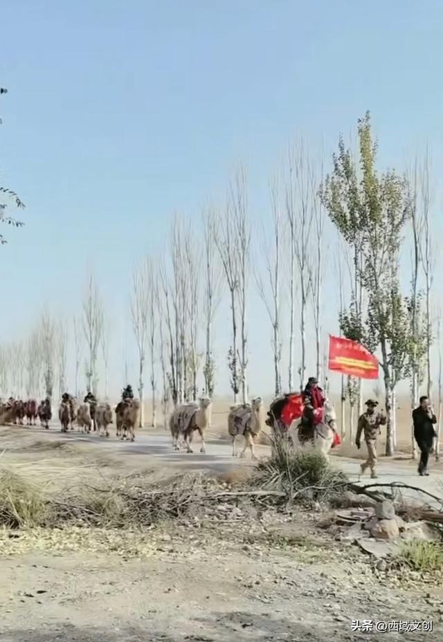 特稿｜驼铃声声传古韵 丝路古城燃篝火 张耀宇/文 焦庆祖/图