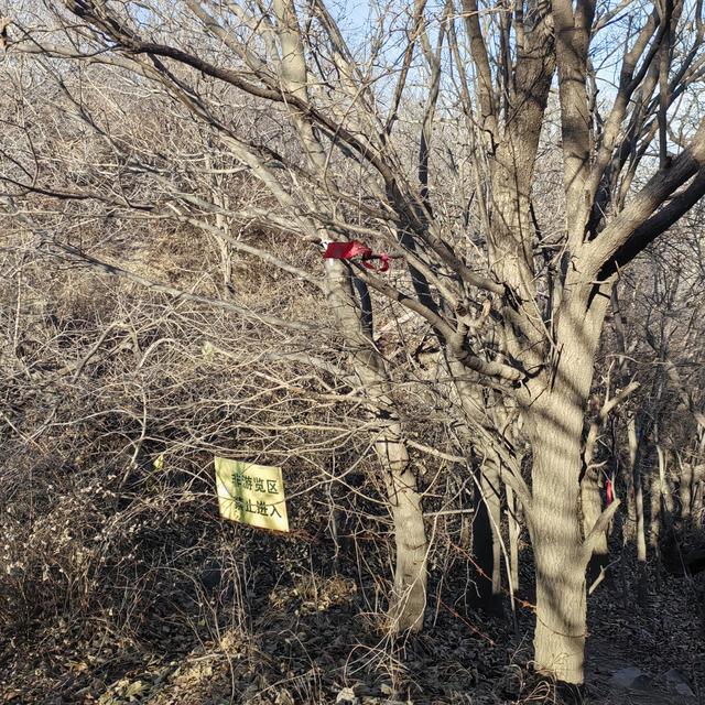 大觉寺凤凰岭北线徒步