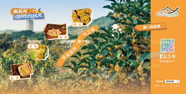 来苏州旅游，认准“君到苏州”文化旅游总入口！