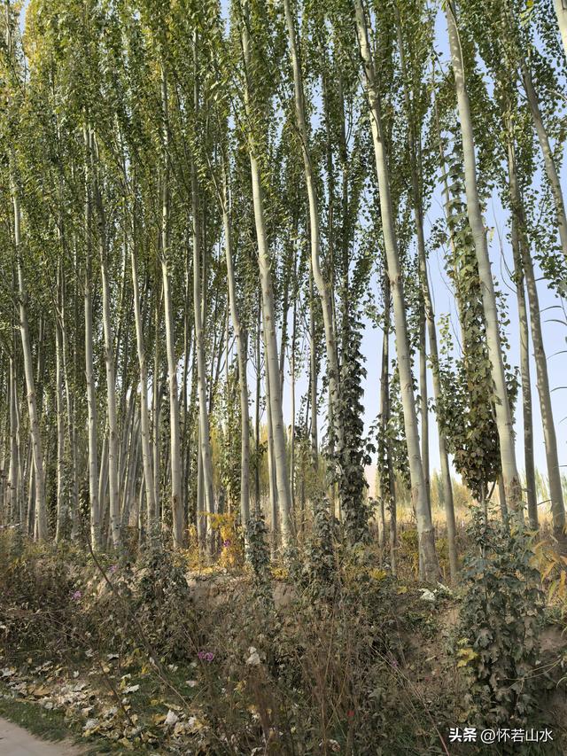 2025环南疆沙漠铁路背包自由行日记(3)---新藏公路零起点叶城打卡