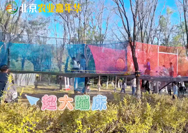 萌宠互动+无动力狂欢！来昌平解锁亲子游新玩法