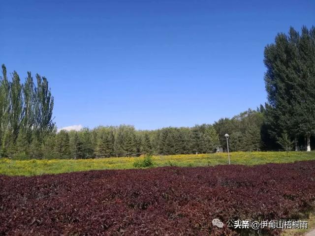 新疆之行（九）博乐，一座令人心动的宜居城市