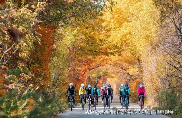 【镜头里的鸡西】鸡西这些“勾魂”美景，美到窒息！你打卡过几个？