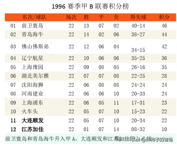 消失的球队系列之江苏舜天（迈特，加佳，苏宁）