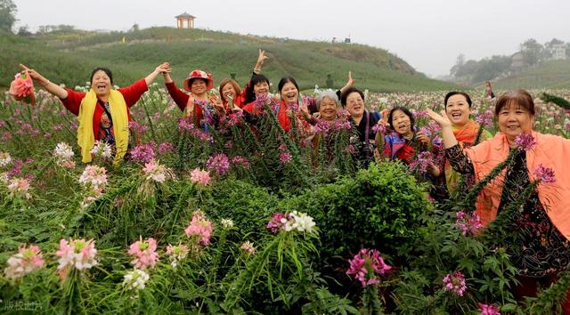 2025上半年旅游报告出炉，32亿人次出游，最大黑马竟是他们？