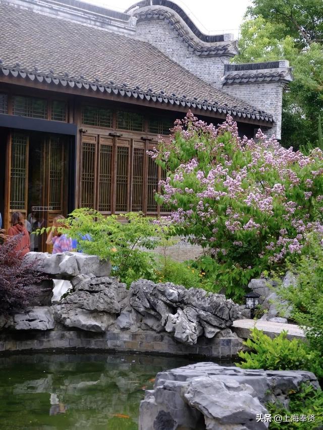 藏在上海的千年水乡！青溪老街一日游攻略，逛吃玩全解锁！