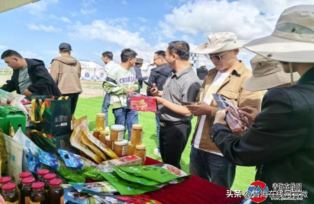 燃情开跑！2025第三届中国原子城同宝山登山大会启幕