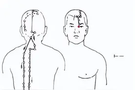 千金难买的12经络高清动画图，经络走向看得一清二楚，收藏起来！图片