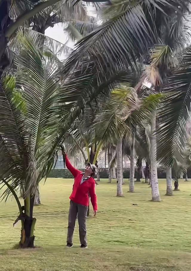 原来早已不是中国籍？事业巅峰远赴美国，被老外“玩腻”晚年回国