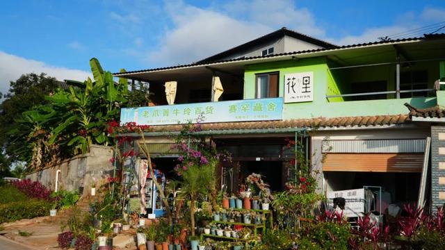 思茅老爪箐的治愈时光 | 暖冬旅居思茅盲盒