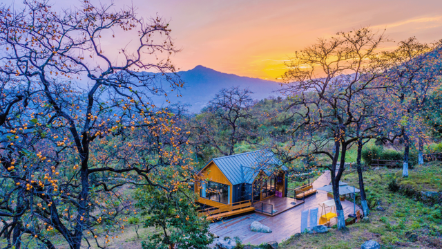 文化中国行 | 立冬：冬日安暖，好“柿”连连