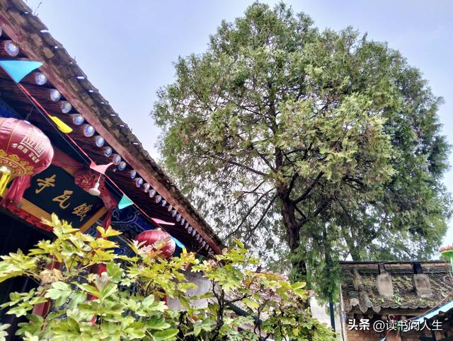 一次与时光对话的行走——天水作家赴吴砦古城文学采风活动侧记