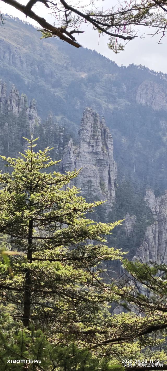 自驾湖北神农架，两上神农谷