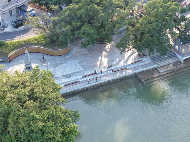 速来打卡！东莞万江这个新晋网红地：“起龙文化+生态美景”