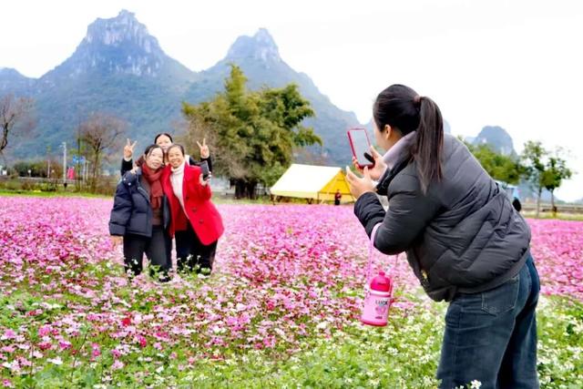 花海与“村BA”共舞！柳江春节文旅市场“热力全开”