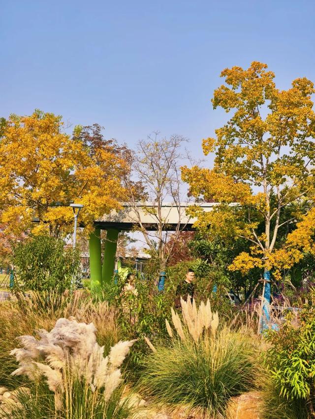 逛起来！8小时10个公园！