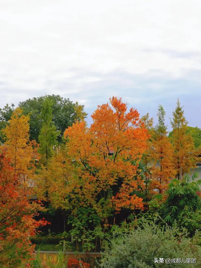 成都公园地图丨晒太阳不打挤的20个公园,东南西北全覆盖