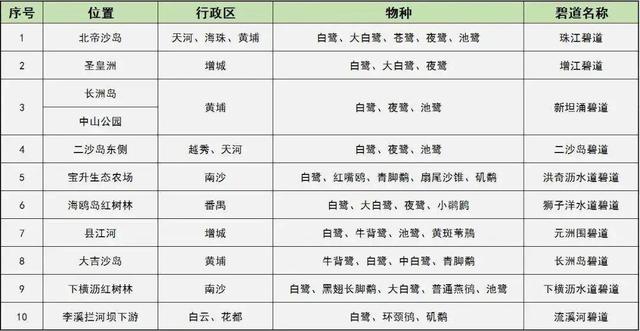广东弱冷空气或“续杯”！广州天气持续干燥，赏花观鸟正当时