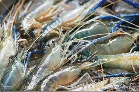 超市冷鲜虾长久新鲜的背后，原来它起着大作用！图片