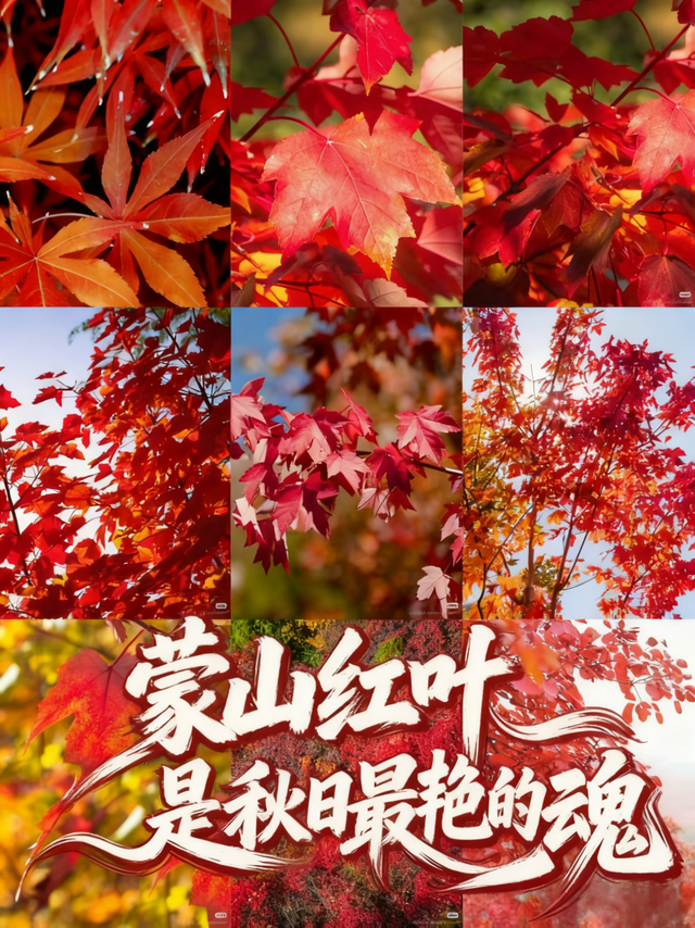 临沂这抹红，醉了秋日山水
