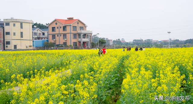 不负花期，不负春光，山边等你