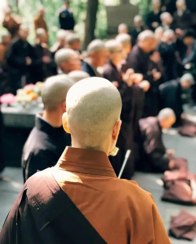 揭秘尼姑庵的黑暗面：尼姑平均年龄不到25，香客人来人往究竟为何