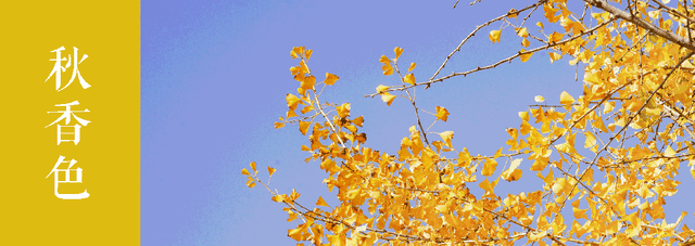 周末去打卡丨来吴江，“捡秋”！