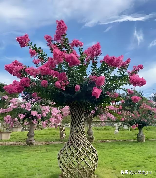 感受广州的风：千年商都的灵动呼吸
