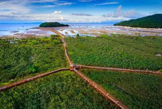 海味阳江:左手海鲜盛宴,右手千年渔风,快来这里赶海呀