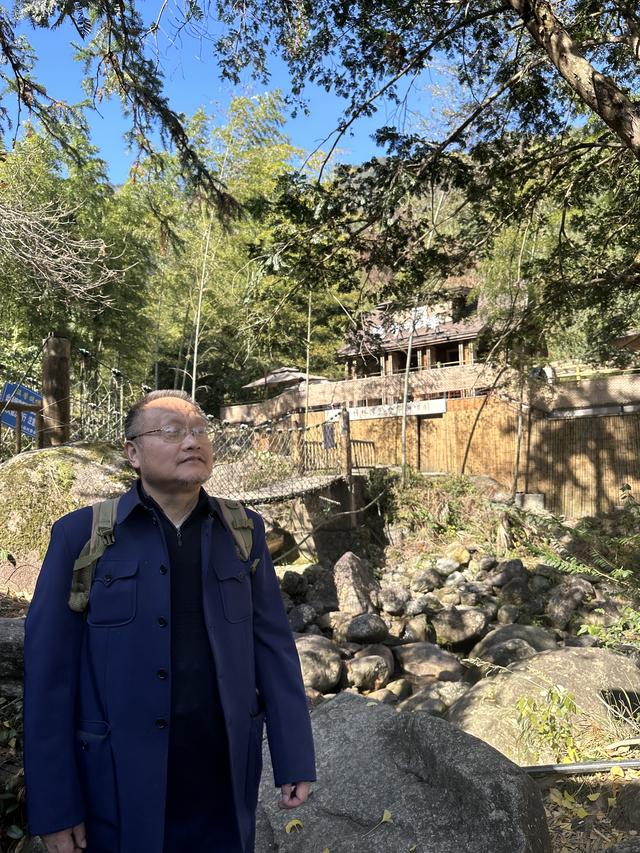 郁郁银杏无非般若，青青溪石尽是法身：宜春南惹古村印象（聂朋