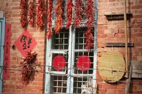 自带“抗菌素”的4种菜，建议：3天吃1次，身体少生病，平安过冬图片