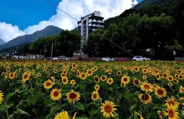 躲进秦岭古村，来佛坪过两天山野慢生活！