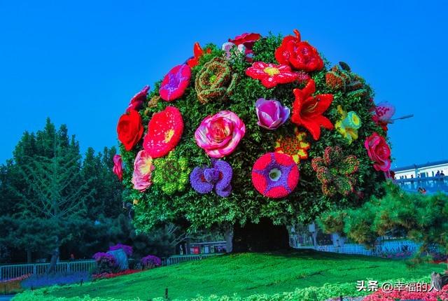 北京花展爆火！35万人挤爆CBD花海